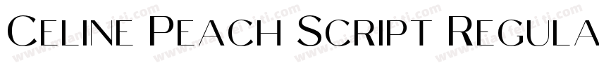 Celine Peach Script Regular字体转换